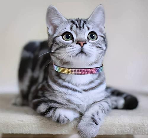 Thain Bling Cat Kitten Collar Rainbow Drahokamu Breakaway Diamond s Bell Soft Velvet rýchle uvoľnenie